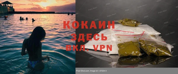 индика Володарск