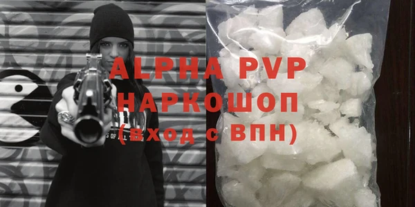 индика Володарск