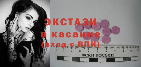 индика Володарск
