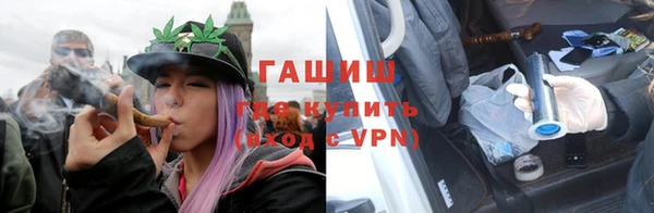 индика Володарск