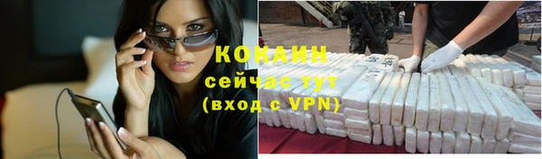 индика Володарск