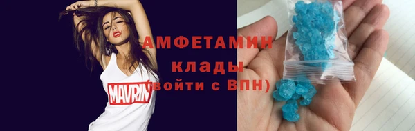 индика Володарск