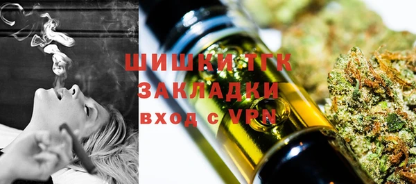 индика Володарск