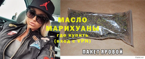 индика Володарск