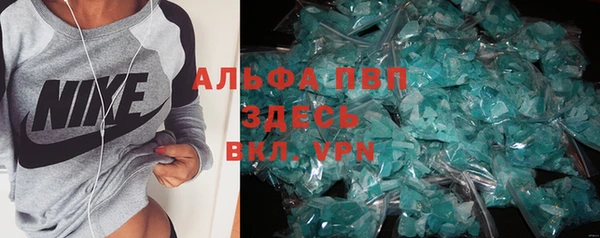 индика Володарск
