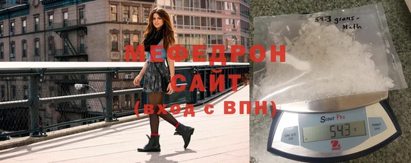 индика Володарск