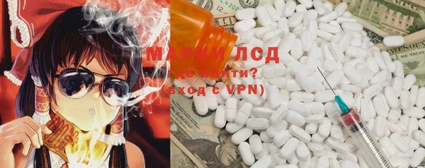 индика Володарск