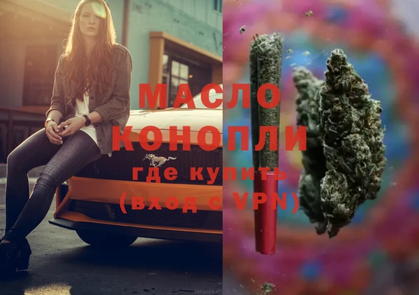 индика Володарск