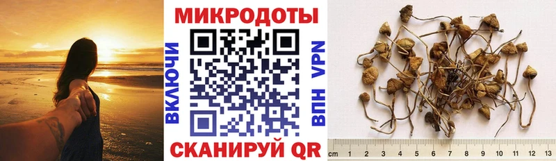 Галлюциногенные грибы мицелий закладка Славянск-на-Кубани